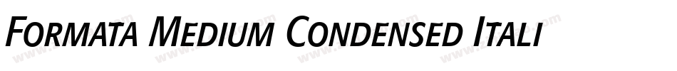 Formata Medium Condensed Italic字体转换